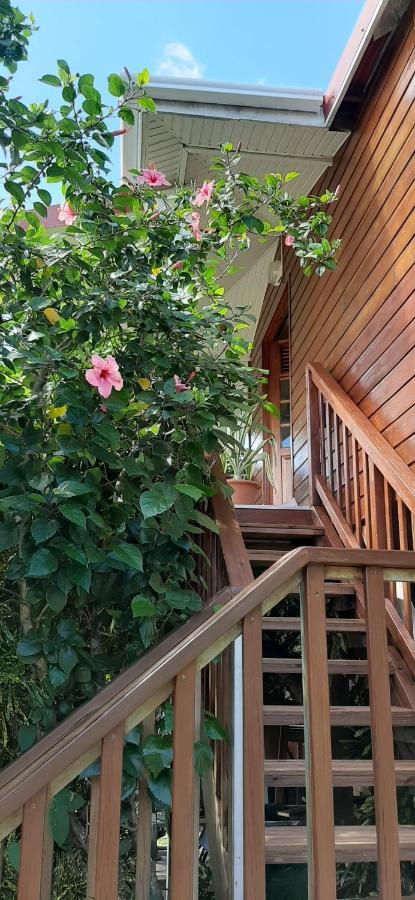 Bungalow Mangifera Proche De La Plage لو ديامانت المظهر الخارجي الصورة
