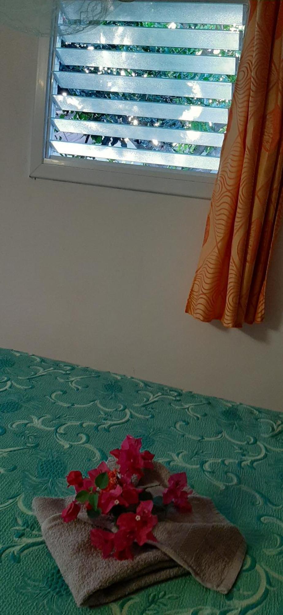 Bungalow Mangifera Proche De La Plage لو ديامانت المظهر الخارجي الصورة